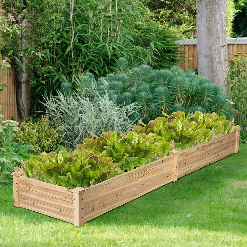 Solid Wood Raised Garden Bed with 2 Compartments