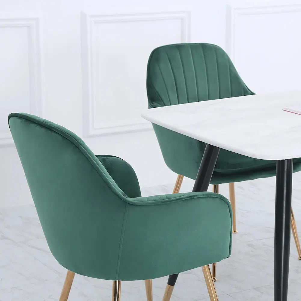 Set of 2 Velvet Dining Chairs Furnish Wise