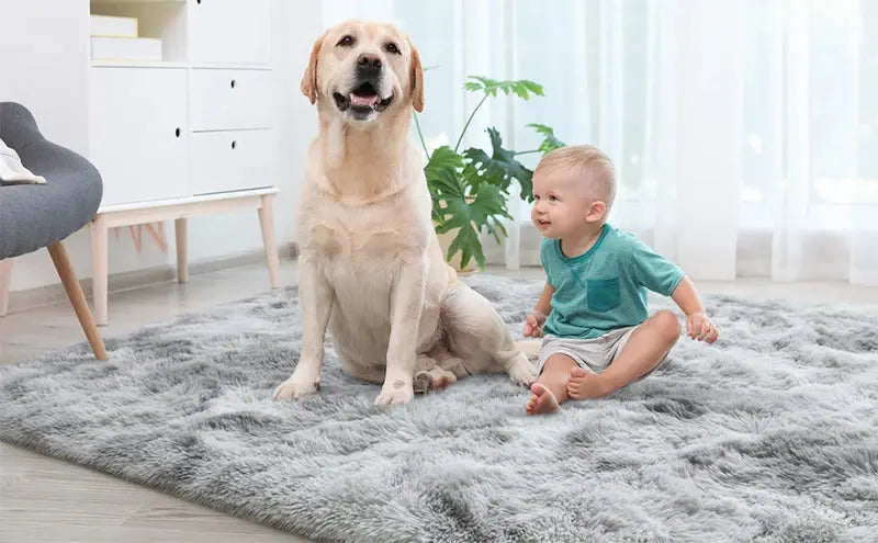 Soft Carpet For Living Room Fluffy Modern Bedroom Bedside Rug Tie-Dyed Grey Indoor Shag Carpets For Kids Nursery Room Home Decor Furnish Wise