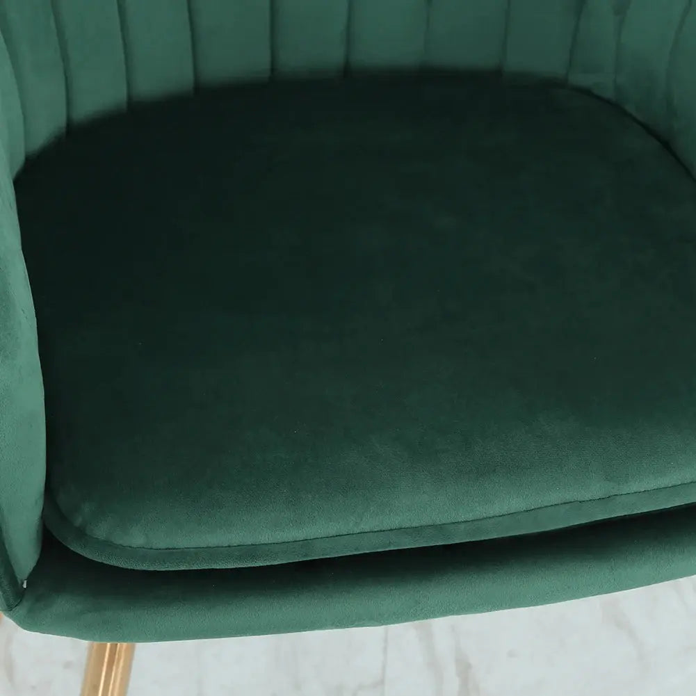 Set of 2 Velvet Dining Chairs Furnish Wise