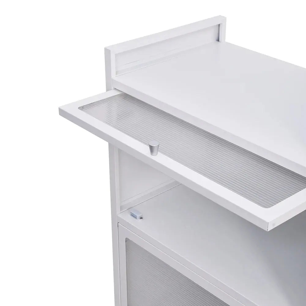 Vertical File Cabinet with 3 Shelves